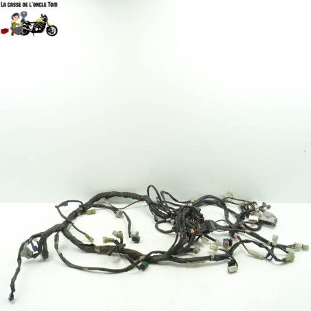 Faisceau électrique principal Yamaha 1300 FJR 2008 - CTM-11226-121