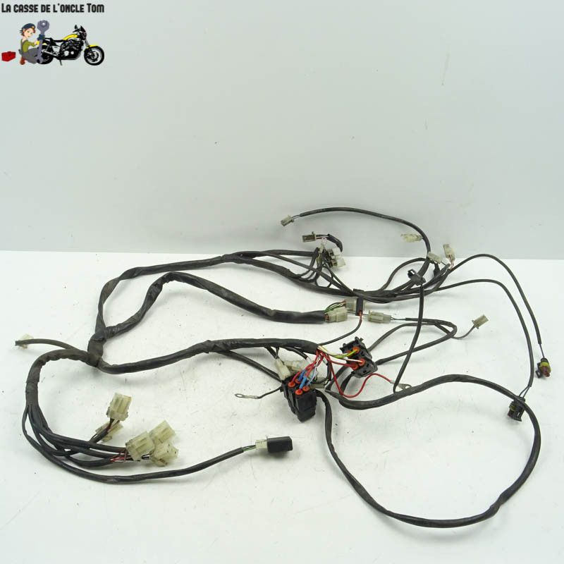 Faisceau électrique principal Yamaha 1300 FJR 2008 - CTM-11226-121