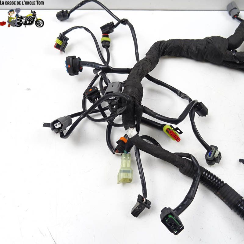 Faisceau électrique KTM 890 DUKE  R 2021 - CTM-11693-063