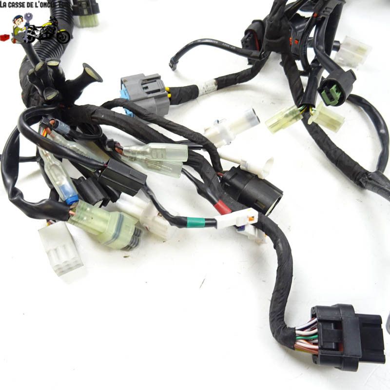 Faisceau électrique KTM 890 DUKE  R 2021 - CTM-11693-063