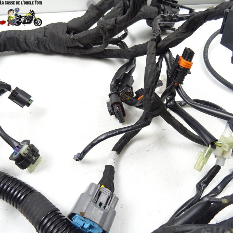 Faisceau électrique KTM 890 DUKE  R 2021 - CTM-11693-063