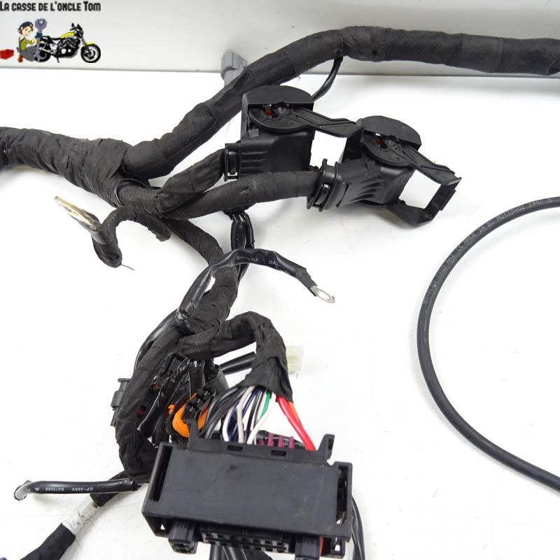 Faisceau électrique KTM 890 DUKE  R 2021 - CTM-11693-063