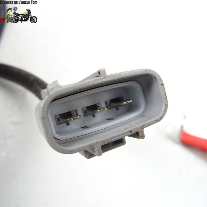 Faisceau électrique KTM 890 DUKE  R 2021 - CTM-11693-063