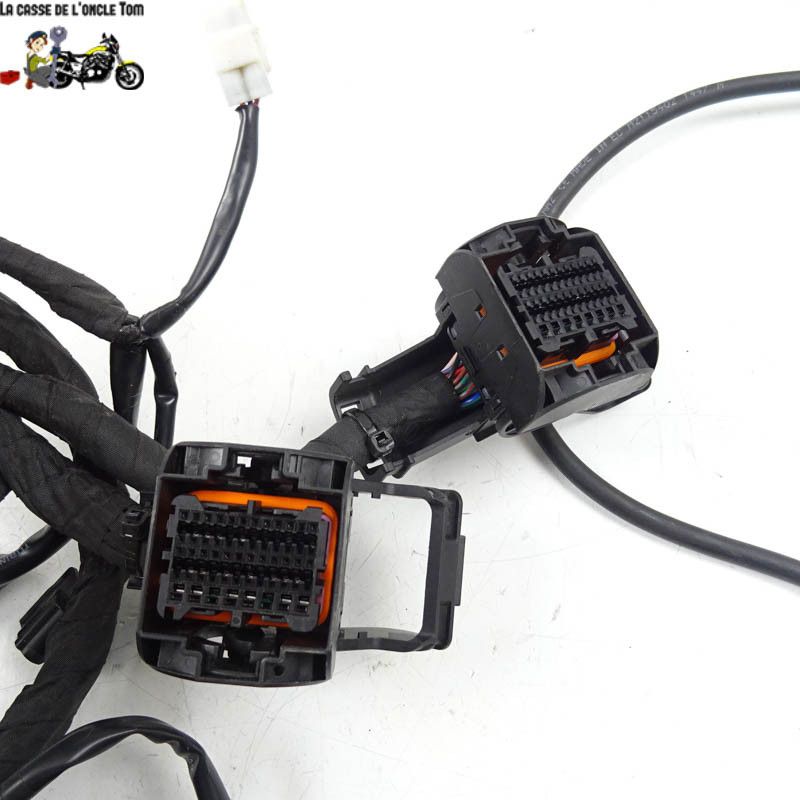 Faisceau électrique KTM 890 DUKE  R 2021 - CTM-11693-063