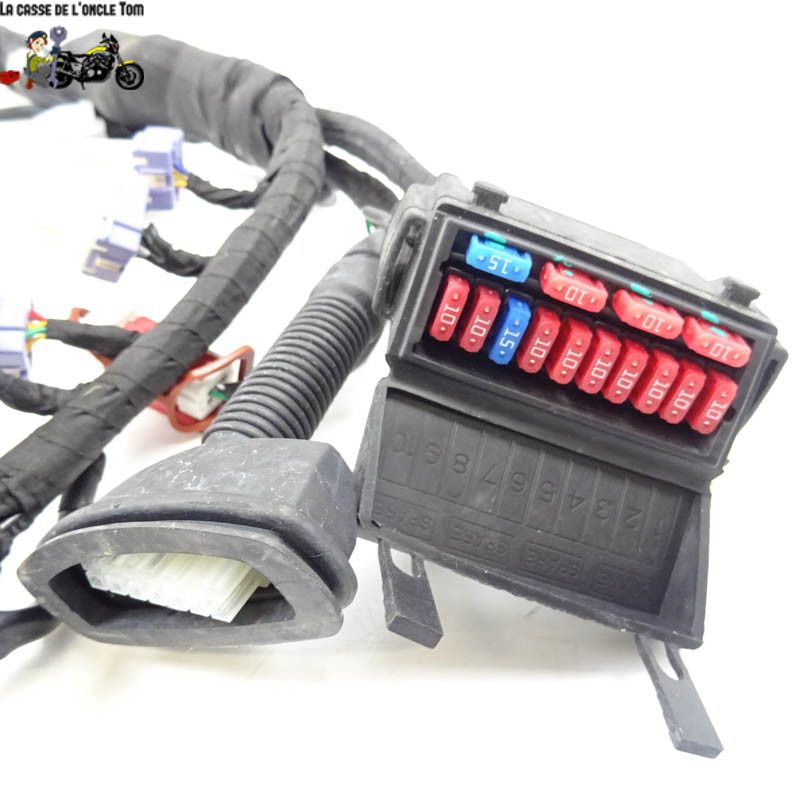 Faisceau électrique KTM 890 DUKE  R 2021 - CTM-11693-063