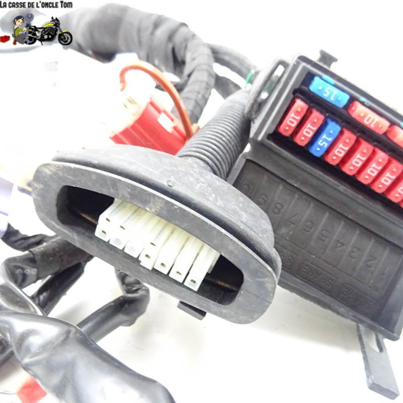 Faisceau électrique KTM 890 DUKE  R 2021 - CTM-11693-063