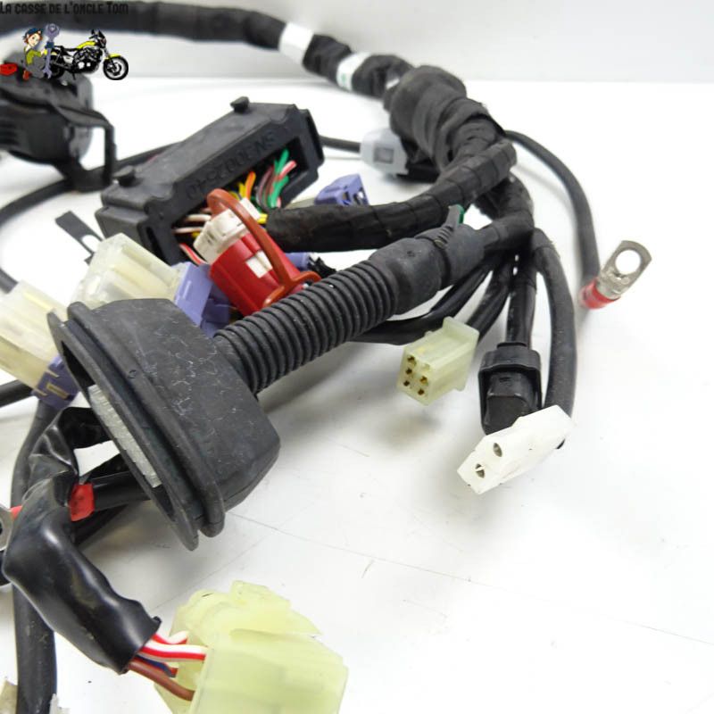 Faisceau électrique KTM 890 DUKE  R 2021 - CTM-11693-063