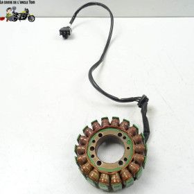 Stator Kawaszaki 1000 z sx...