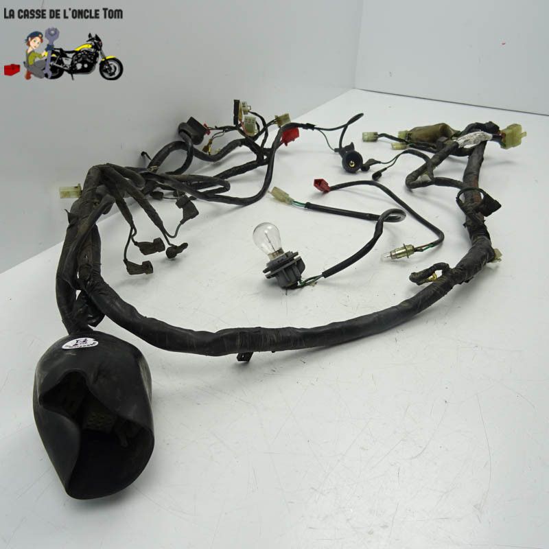 Faisceau éléctrique Honda 600 XL V Transalp 1991 - CTM-11876-094