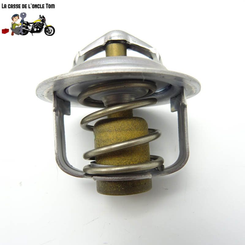 Calorstat  Kawasaki 400 Ninja 2020 - CTM-11908-012