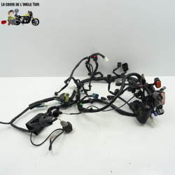 Faisceau électrique Kawasaki 400 Ninja 2020 - CTM-11908-064