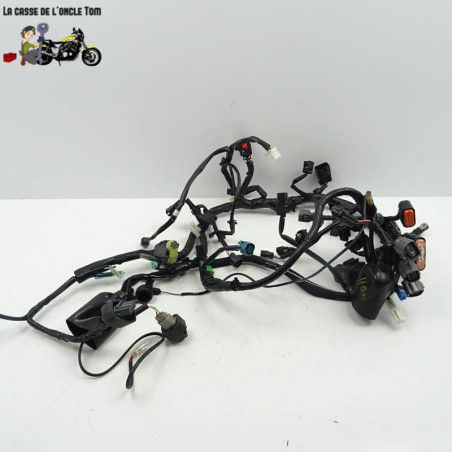Faisceau électrique Kawasaki 400 Ninja 2020 - CTM-11908-064