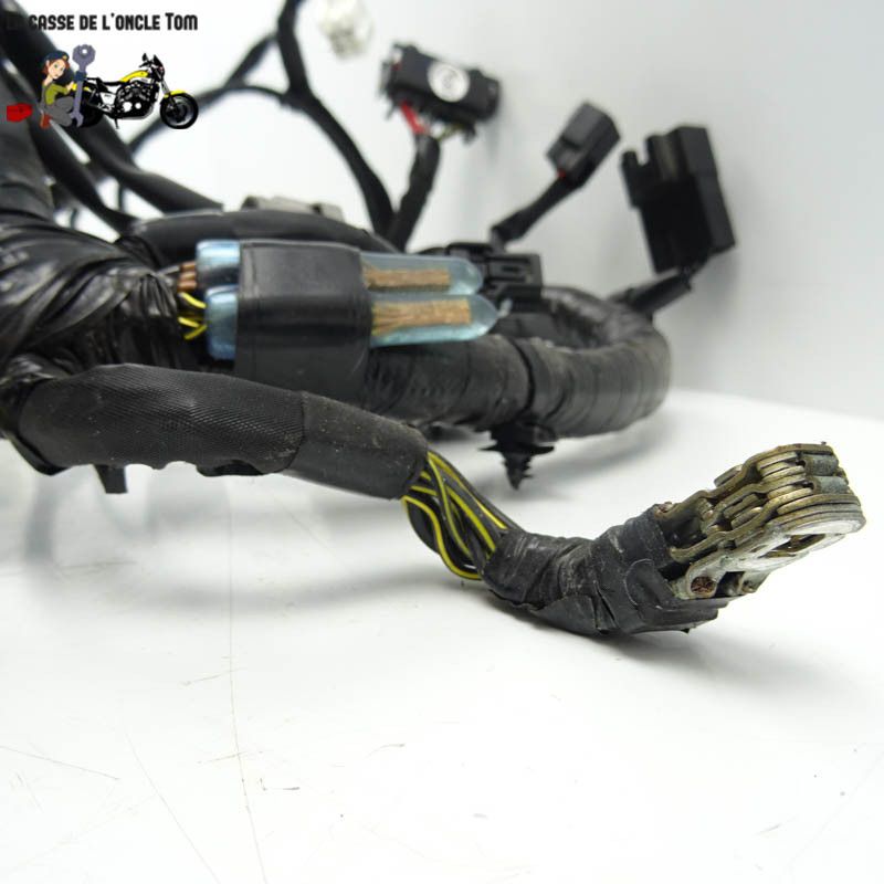 Faisceau électrique Kawasaki 400 Ninja 2020 - CTM-11908-064