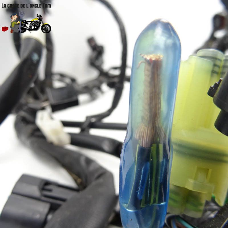 Faisceau électrique Kawasaki 400 Ninja 2020 - CTM-11908-064