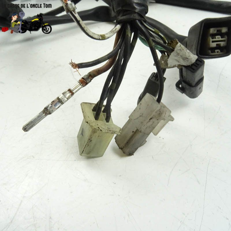 Faisceau électrique Suzuki 650 GSF Bandit 2006 - CTM-12094-031