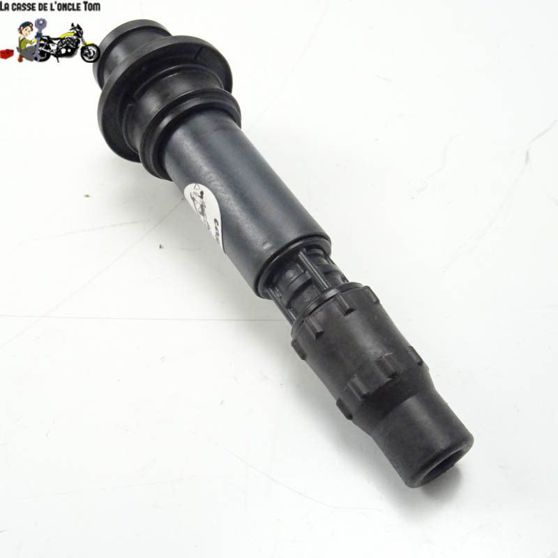 Bobine crayon  Triumph 1050 speed triple 2013 - CTM-8800-049