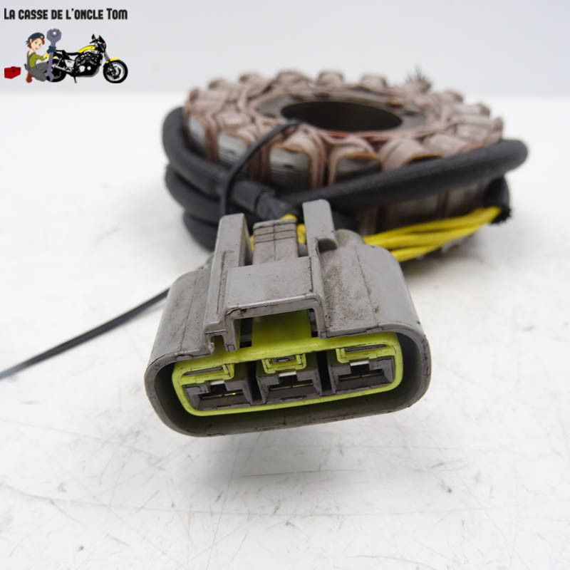 Stator Ducati 821 Monster 2016 - CTM-11353-067