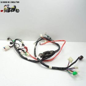 Faisceau électrique Sym 50...
