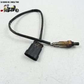 Sonde lambda Sym 50 crox 2021