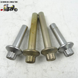 Vis de culasse Harley Davidson 1690 FXDB 103 2014 - CTM-11519-045