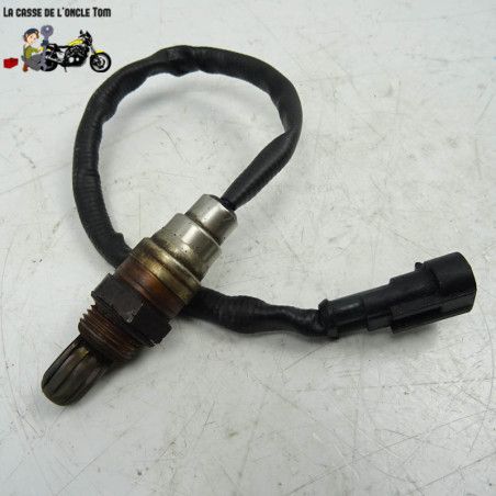 Sonde lambda Harley Davidson 1584 FXD WG 2009