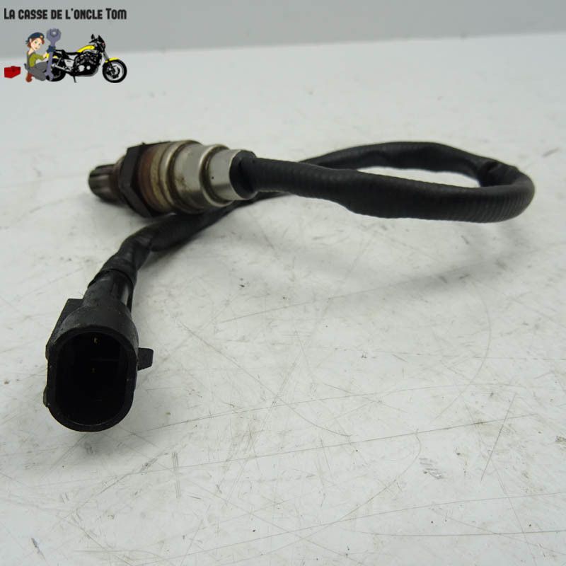 Sonde lambda Harley Davidson 1584 FXD WG 2009 - CTM-11675-050