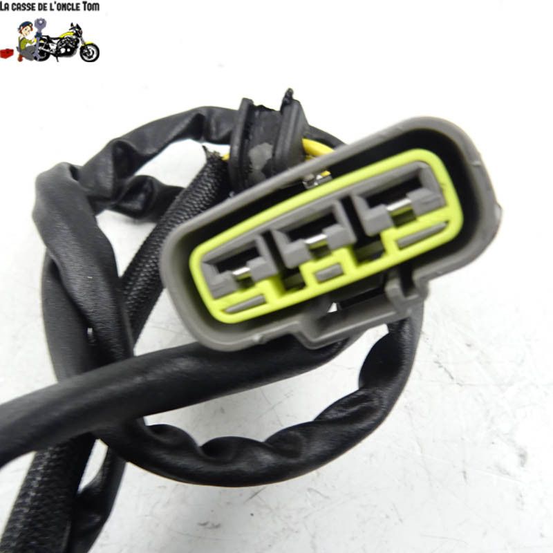 Stator Ducati 1200 Street fighter 2020 - CTM-11915-002