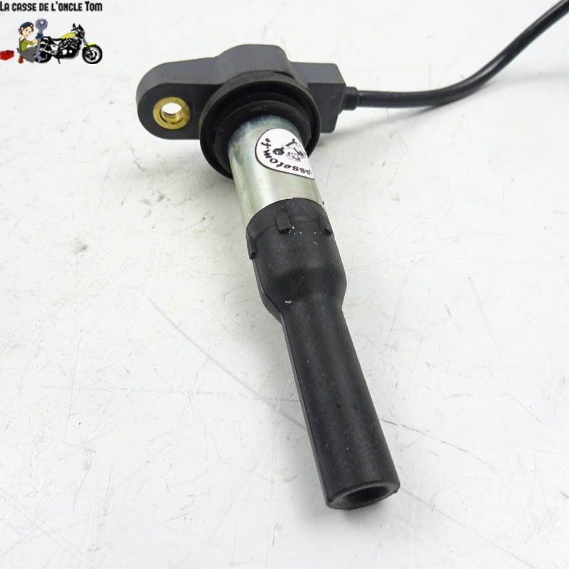 Bobine crayon arrière 2 Ducati 1200 Street fighter 2020 - CTM-11915-005