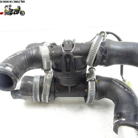 Calorstat / durite d'eau Ducati 1200 Street fighter 2020