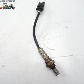 Sonde lambda 1 BMW R1200 R 2007