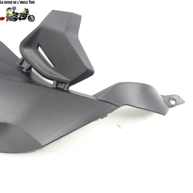 Cache latérale gauche BMW R1200 RS 2016 - CTM-11862-017