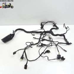Faisceau électrique BMW R1200 RS 2016 - CTM-11862-031