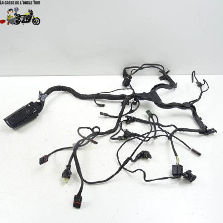 Faisceau électrique BMW R1200 RS 2016 - CTM-11862-031