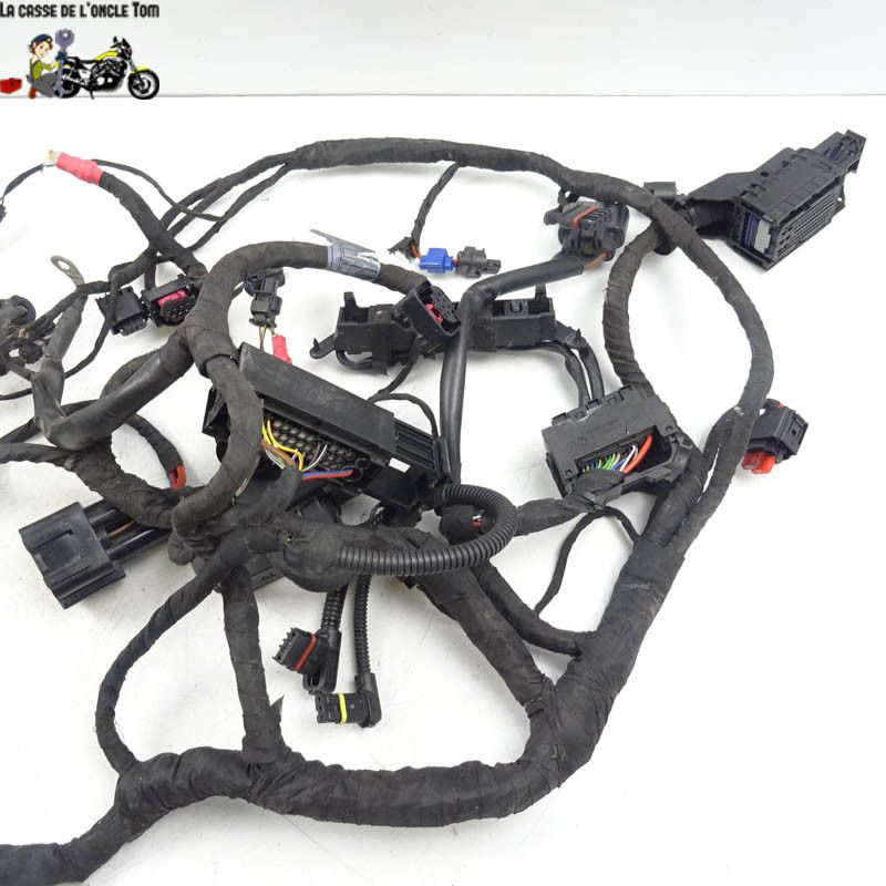 Faisceau électrique BMW R1200 RS 2016 - CTM-11862-031