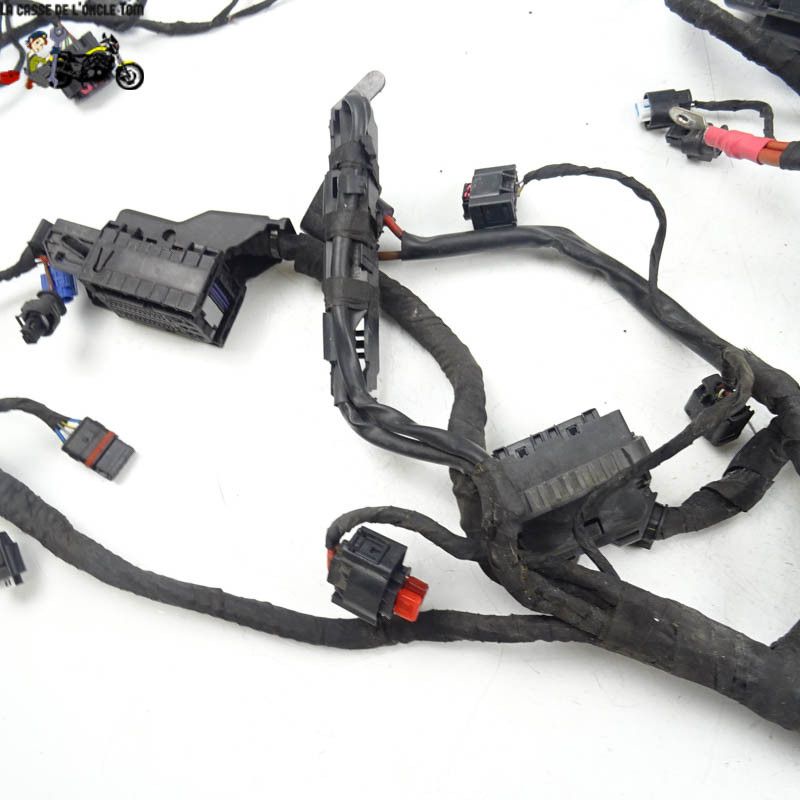 Faisceau électrique BMW R1200 RS 2016 - CTM-11862-031