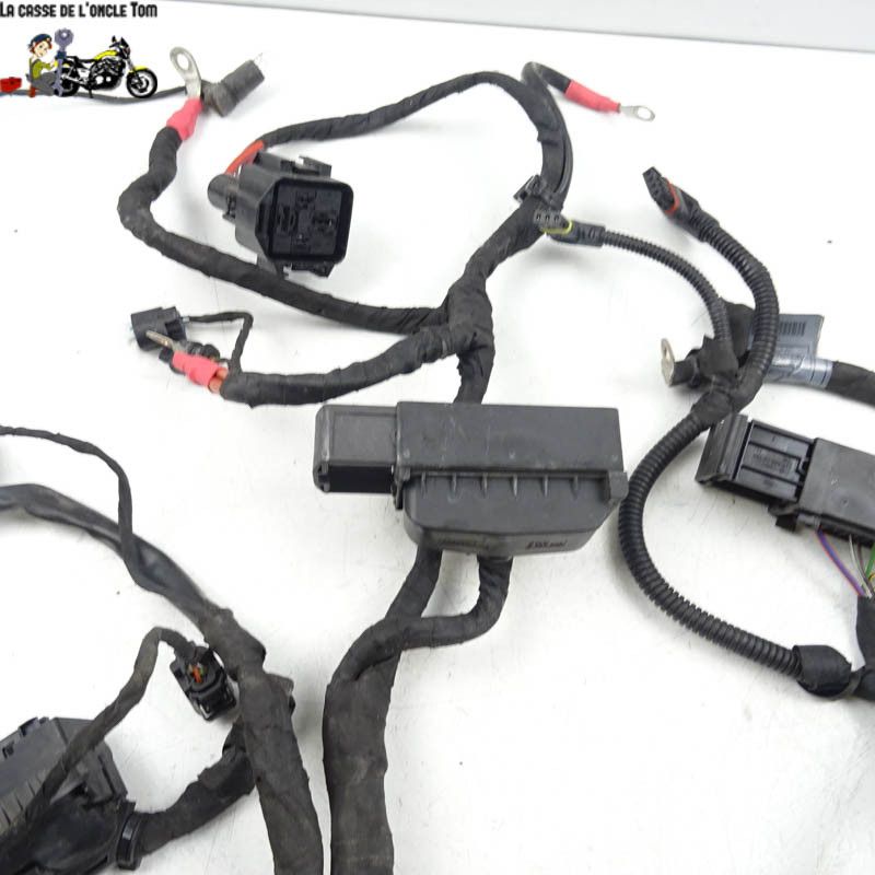 Faisceau électrique BMW R1200 RS 2016 - CTM-11862-031