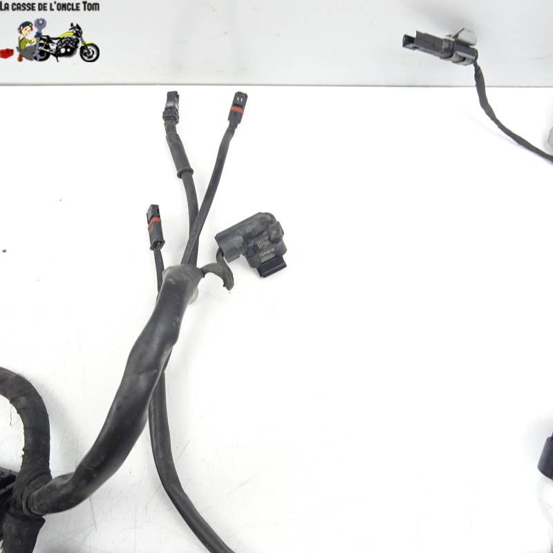 Faisceau électrique BMW R1200 RS 2016 - CTM-11862-031