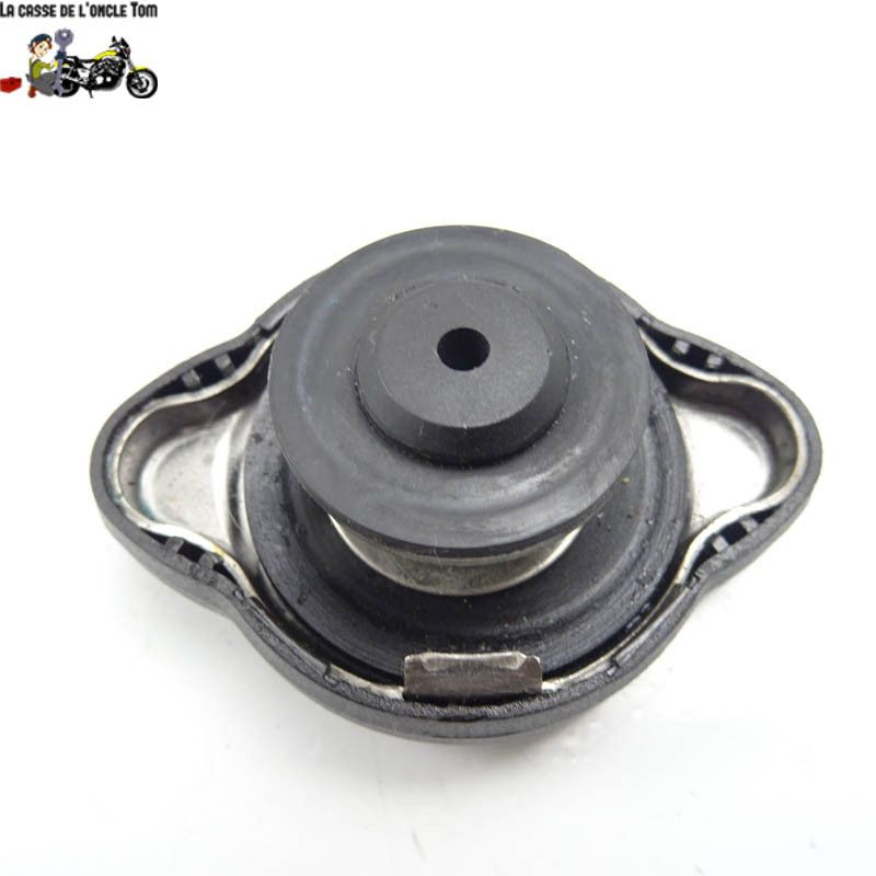 Bouchon de radiateur BMW R1200 RS 2016 - CTM-11862-073