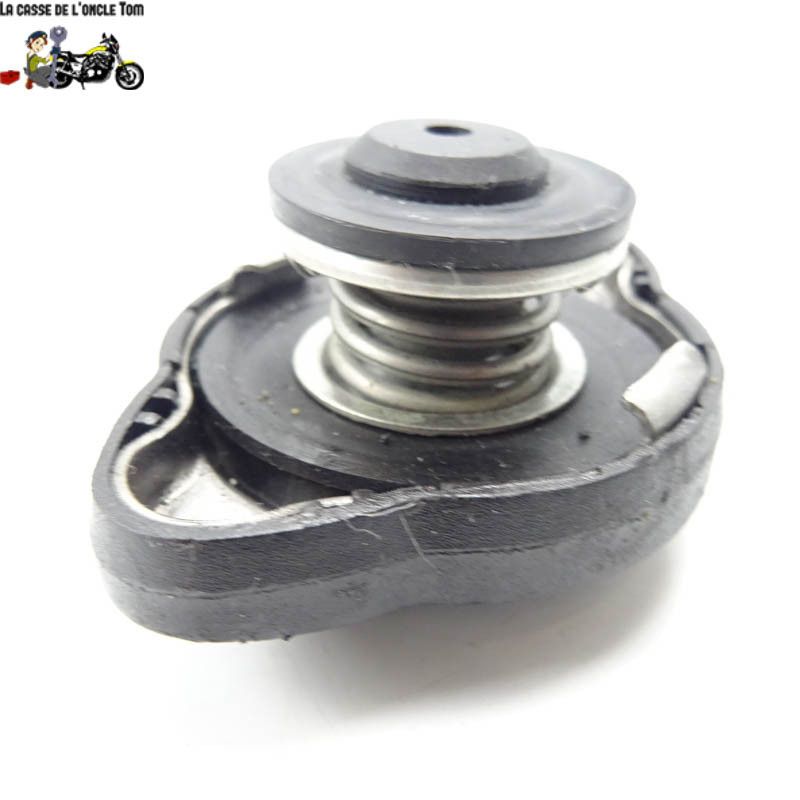 Bouchon de radiateur BMW R1200 RS 2016 - CTM-11862-073