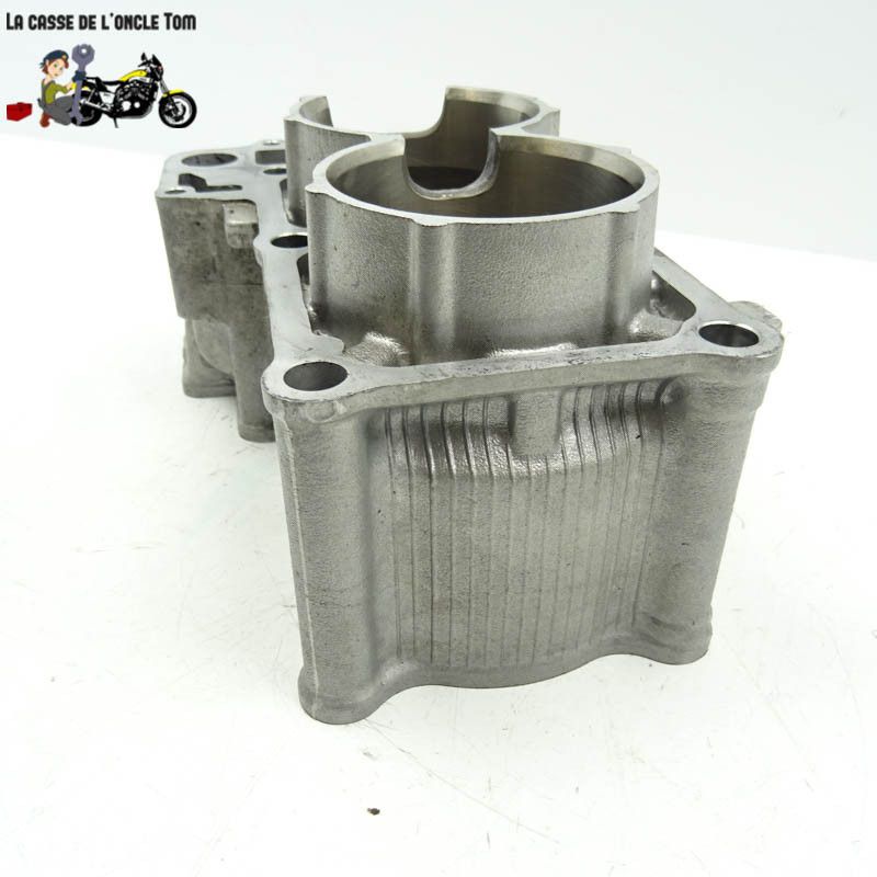 Cylindre et pistons Yamaha 530 T max 2013 - CTM-7933-79