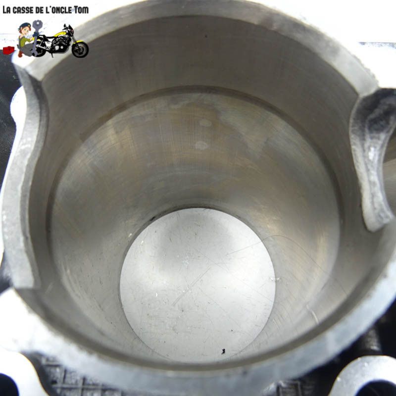 Cylindre et pistons Yamaha 530 T max 2013 - CTM-7933-79