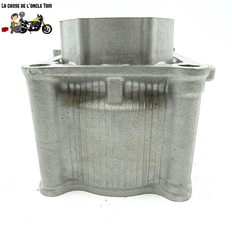 Cylindre et pistons Yamaha 530 T max 2013 - CTM-7933-79