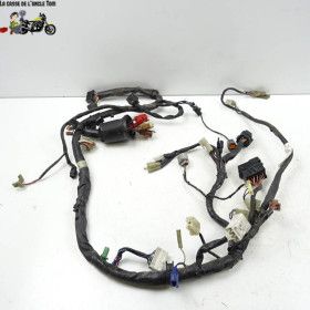 Faisceau électrique Yamaha...