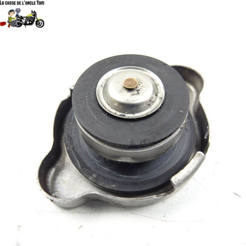 Bouchon de radiateur Ducati 1200 Multistrada 2012 - CTM-11388-019