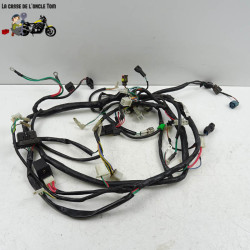 Faisceau électrique Peugeot 50 Kisbee 2019 - CTM-11869-027