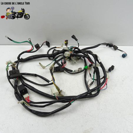 Faisceau électrique Peugeot 50 Kisbee 2019 - CTM-11869-027