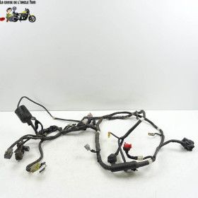 Faisceau électrique Honda...