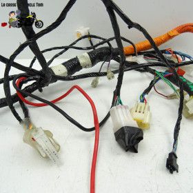 Faisceau électrique  Vmoto Soco  Super Soco TS 2020