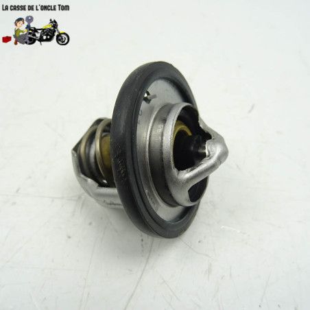 Calorstat Suzuki 1000 GSX-S 2021 - CTM-12387-050