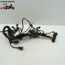 Faisceau électrique moteur KTM 1290 super adventure s 2018 - CTM-12095-031